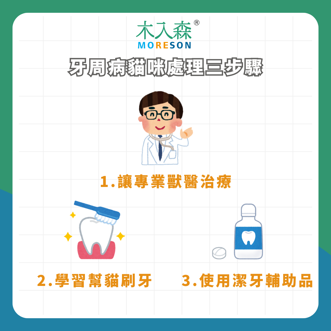 天啊貓咪牙齒突然掉了!為什麼貓咪突然掉牙?貓掉牙怎麼辦? 天啊貓咪牙齒突然掉了!為什麼貓咪突然掉牙?貓掉牙怎麼辦?