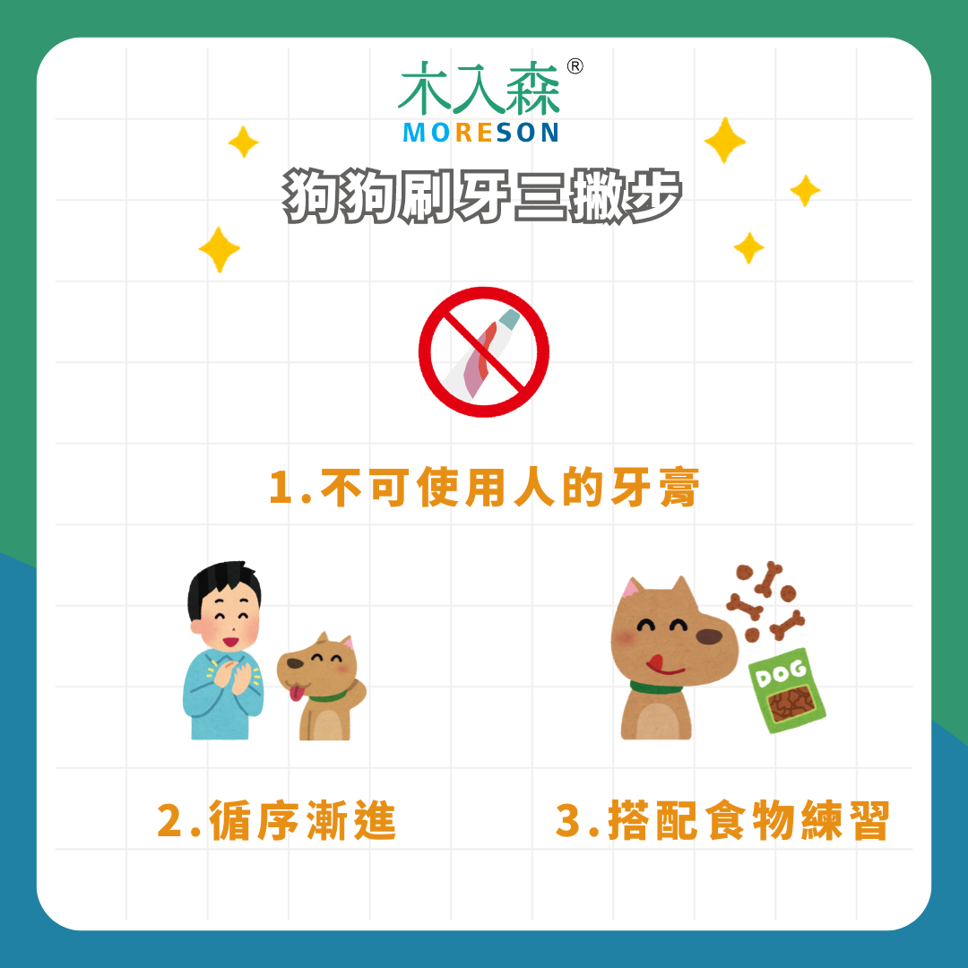 每次都上演「人狗大戰」? 寵物訓練師教你4步驟, 簡單讓狗狗愛上刷牙! 每次都上演「人狗大戰」? 寵物訓練師教你4步驟, 簡單讓狗狗愛上刷牙!