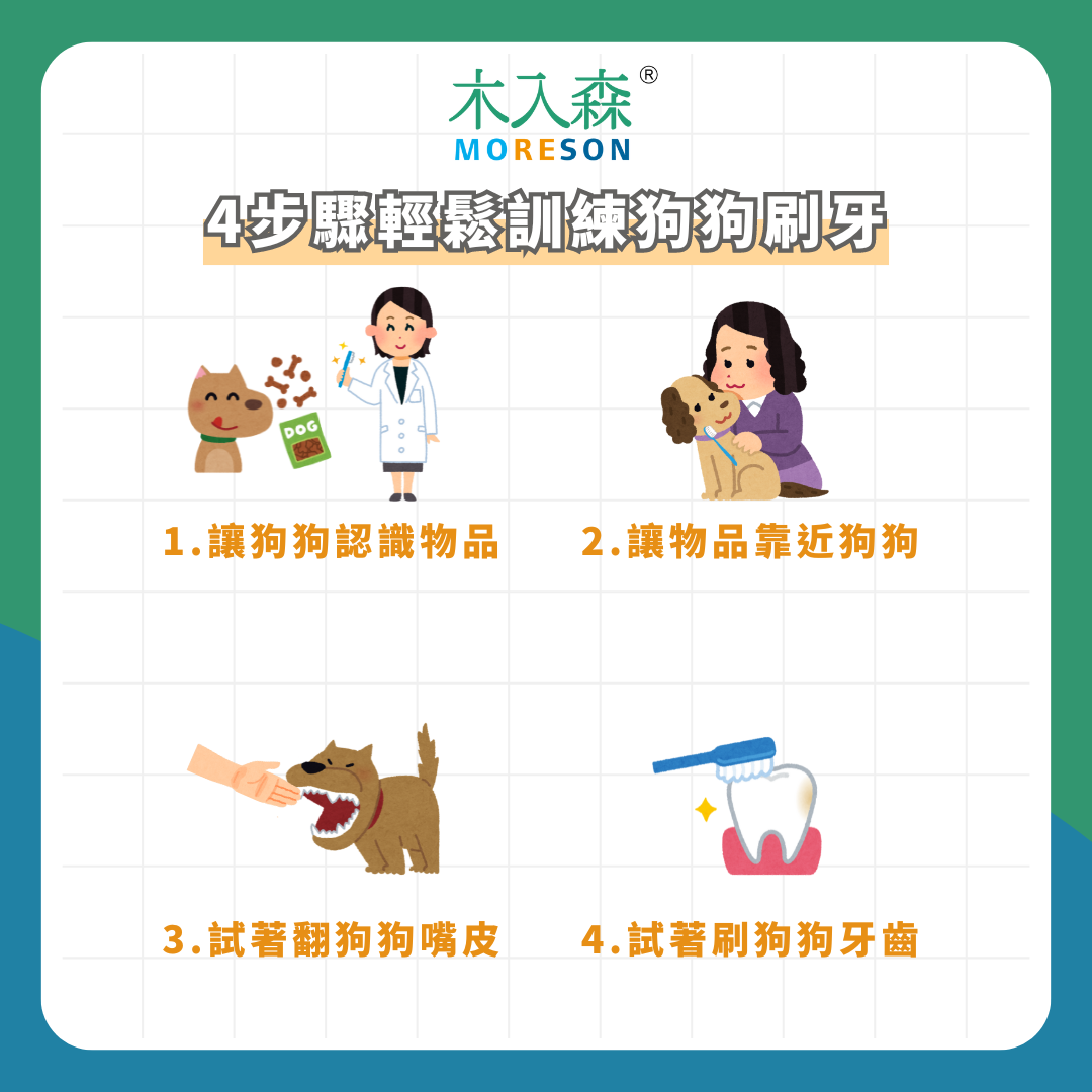 每次都上演「人狗大戰」? 寵物訓練師教你4步驟, 簡單讓狗狗愛上刷牙! 每次都上演「人狗大戰」? 寵物訓練師教你4步驟, 簡單讓狗狗愛上刷牙!