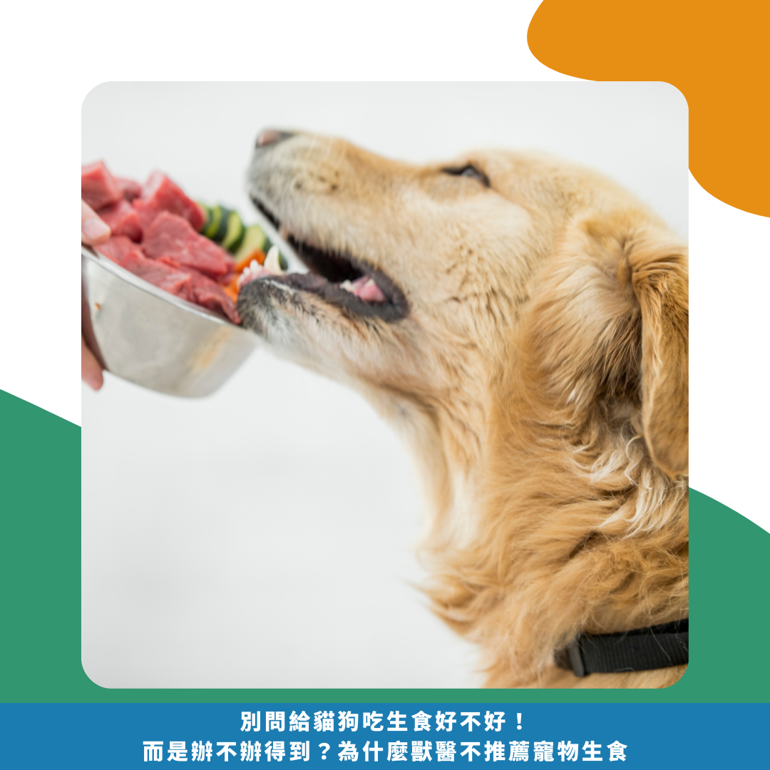 別問給貓狗吃生食好不好!而是辦不辦得到?為什麼獸醫不推薦寵物生食 別問給貓狗吃生食好不好!而是辦不辦得到?為什麼獸醫不推薦寵物生食