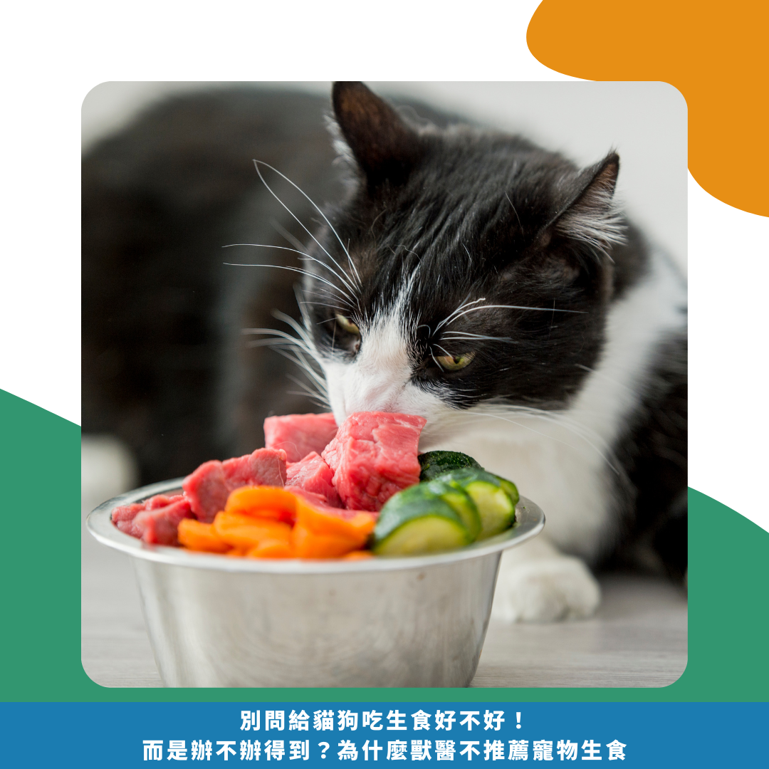 別問給貓狗吃生食好不好!而是辦不辦得到?為什麼獸醫不推薦寵物生食 別問給貓狗吃生食好不好!而是辦不辦得到?為什麼獸醫不推薦寵物生食
