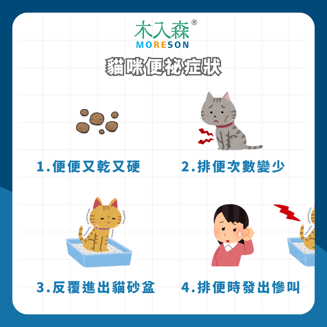在廁所哀嚎!怎麼判斷貓咪便秘?貓便秘症狀、解決方法一次看 在廁所哀嚎!怎麼判斷貓咪便秘?貓便秘症狀、解決方法一次看