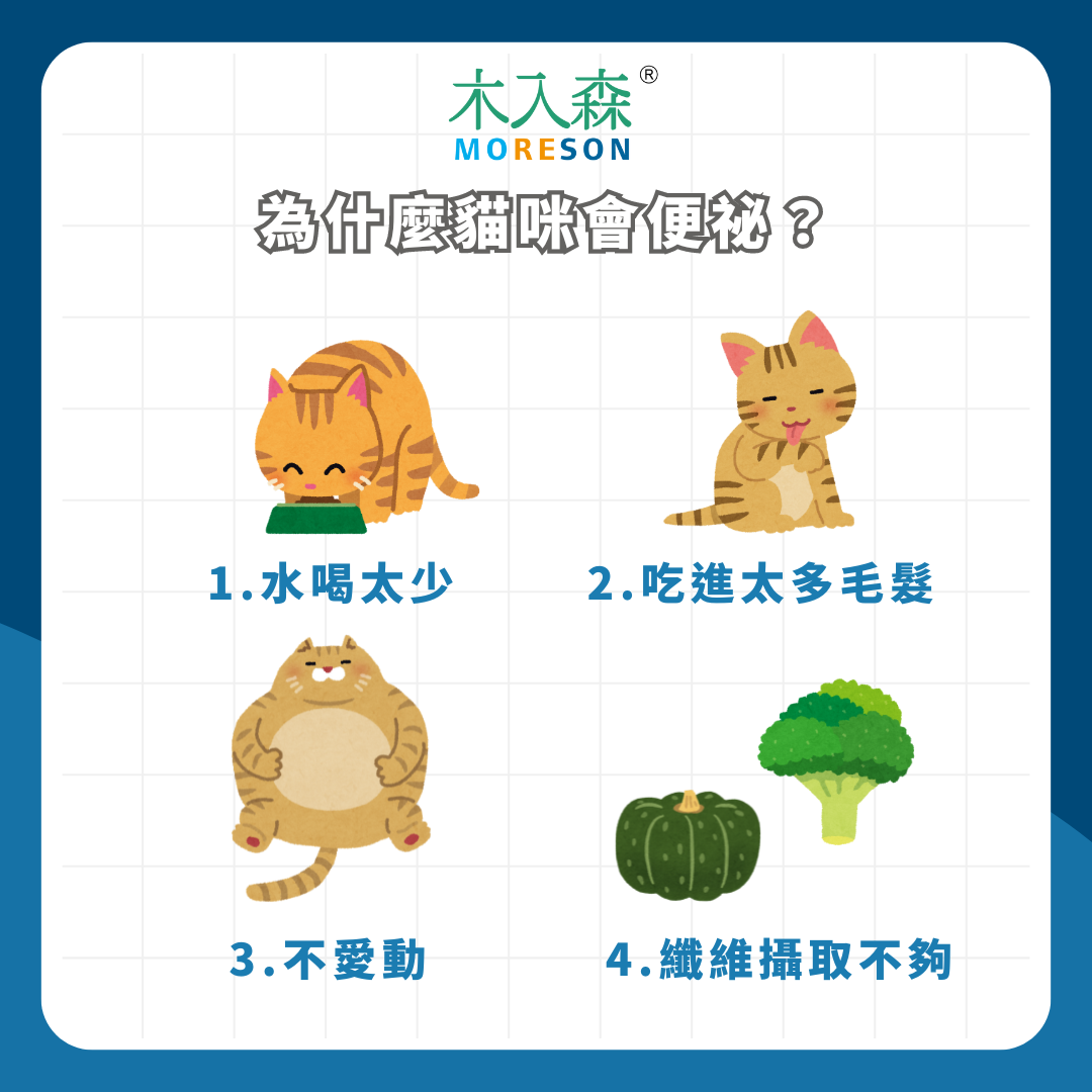 在廁所哀嚎!怎麼判斷貓咪便秘?貓便秘症狀、解決方法一次看 在廁所哀嚎!怎麼判斷貓咪便秘?貓便秘症狀、解決方法一次看