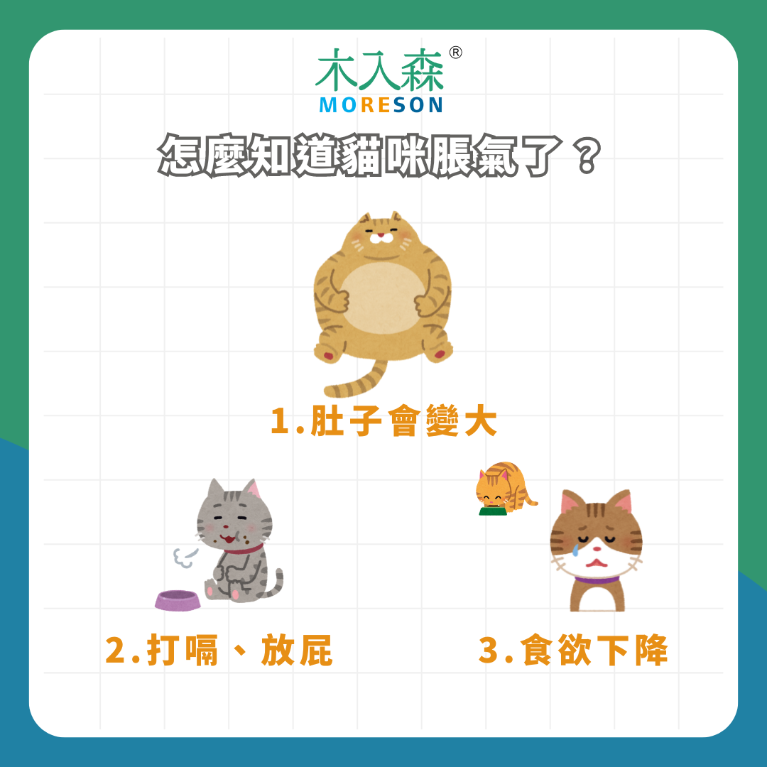 一直打嗝! 貓咪脹氣了怎麼辦? 貓肚子脹氣按摩有效嗎? 一直打嗝! 貓咪脹氣了怎麼辦? 貓肚子脹氣按摩有效嗎?