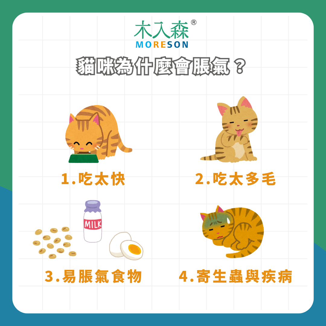 一直打嗝! 貓咪脹氣了怎麼辦? 貓肚子脹氣按摩有效嗎? 一直打嗝! 貓咪脹氣了怎麼辦? 貓肚子脹氣按摩有效嗎?