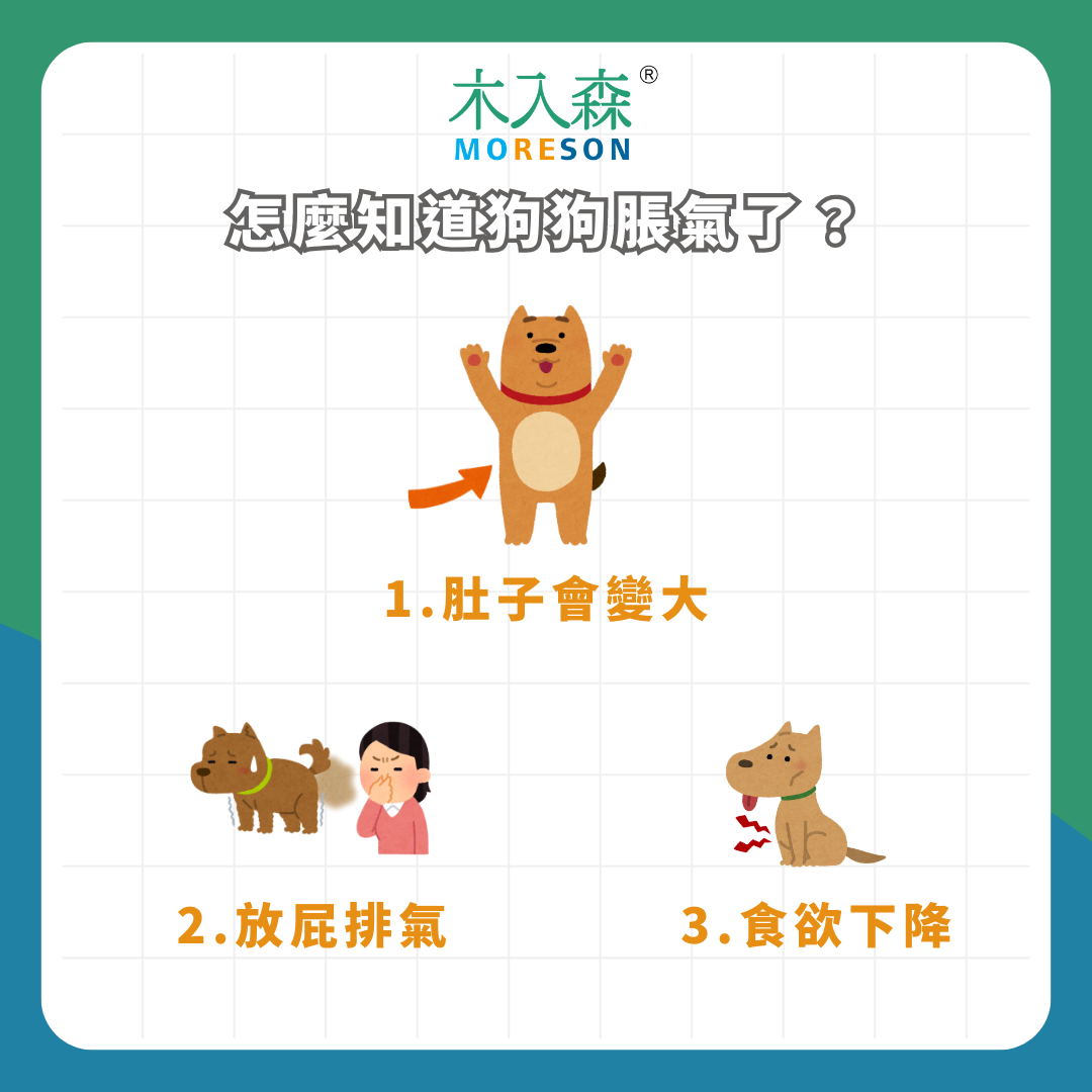 急! 狗狗肚子脹氣怎麼辦? 狗狗脹氣症狀、原因一次看 急! 狗狗肚子脹氣怎麼辦? 狗狗脹氣症狀、原因一次看