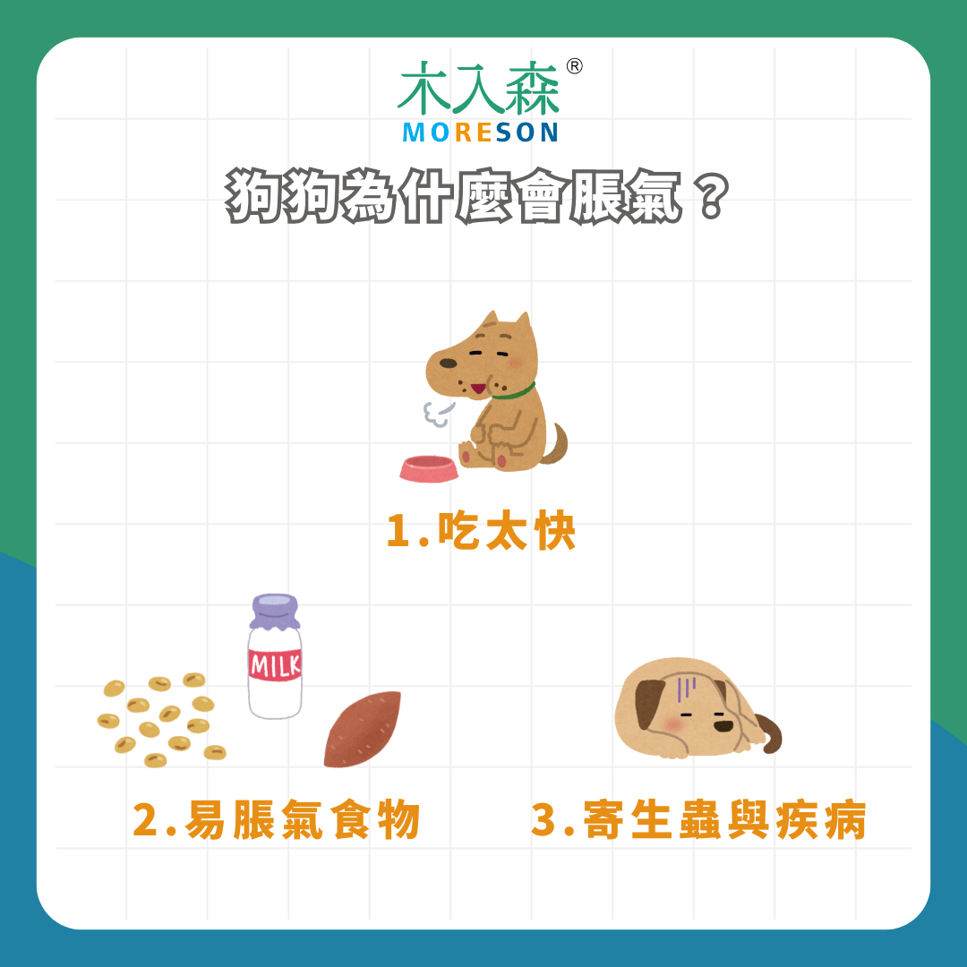 急! 狗狗肚子脹氣怎麼辦? 狗狗脹氣症狀、原因一次看 急! 狗狗肚子脹氣怎麼辦? 狗狗脹氣症狀、原因一次看