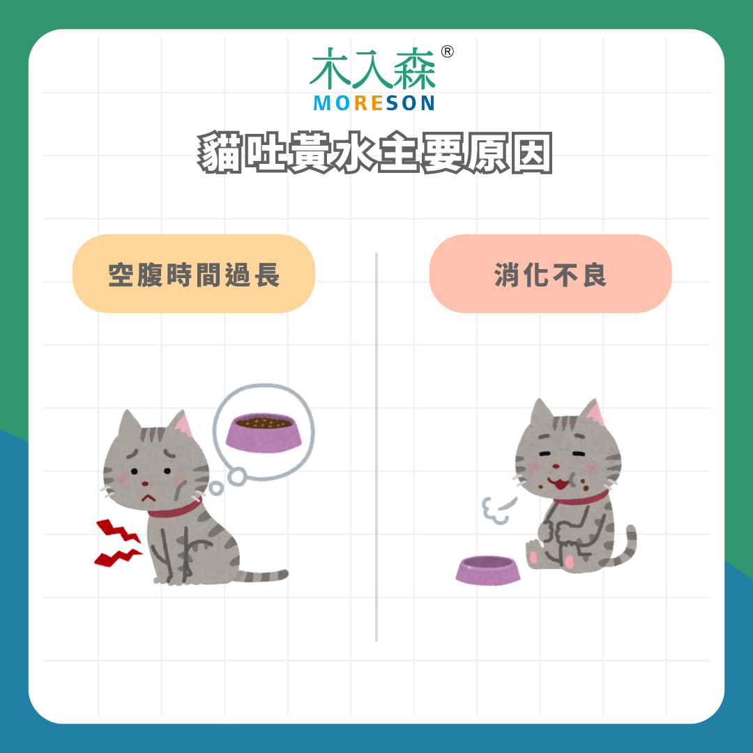 天啊!貓吐黃水怎麼辦!為什麼貓咪會吐黃水? 天啊!貓吐黃水怎麼辦!為什麼貓咪會吐黃水?