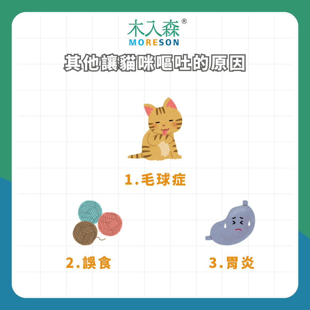 天啊!貓吐黃水怎麼辦!為什麼貓咪會吐黃水? 天啊!貓吐黃水怎麼辦!為什麼貓咪會吐黃水?