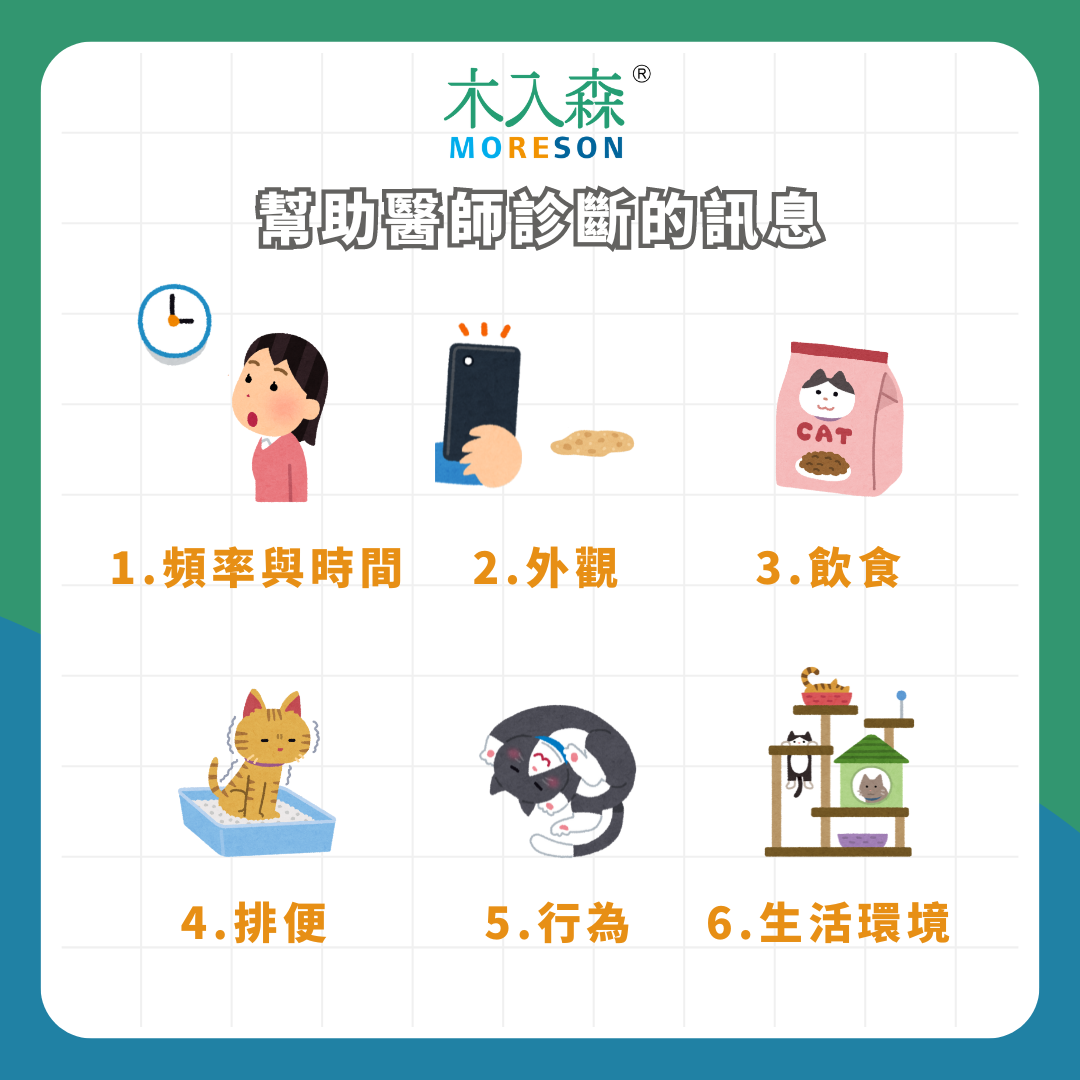 天啊!貓吐黃水怎麼辦!為什麼貓咪會吐黃水? 天啊!貓吐黃水怎麼辦!為什麼貓咪會吐黃水?