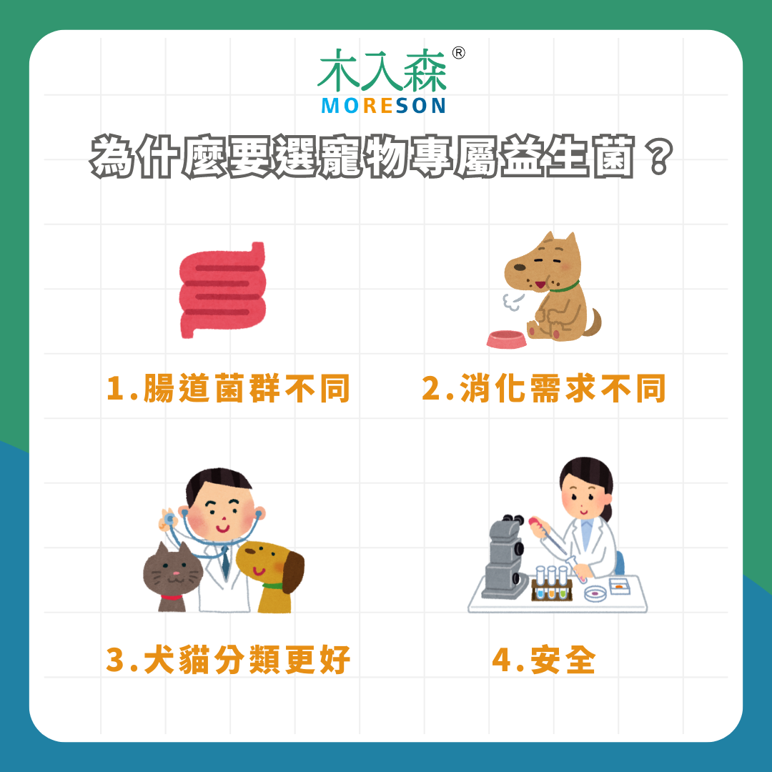 寵物益生菌購買前必讀!推薦給飼主的7大法則 寵物益生菌購買前必讀!推薦給飼主的7大法則