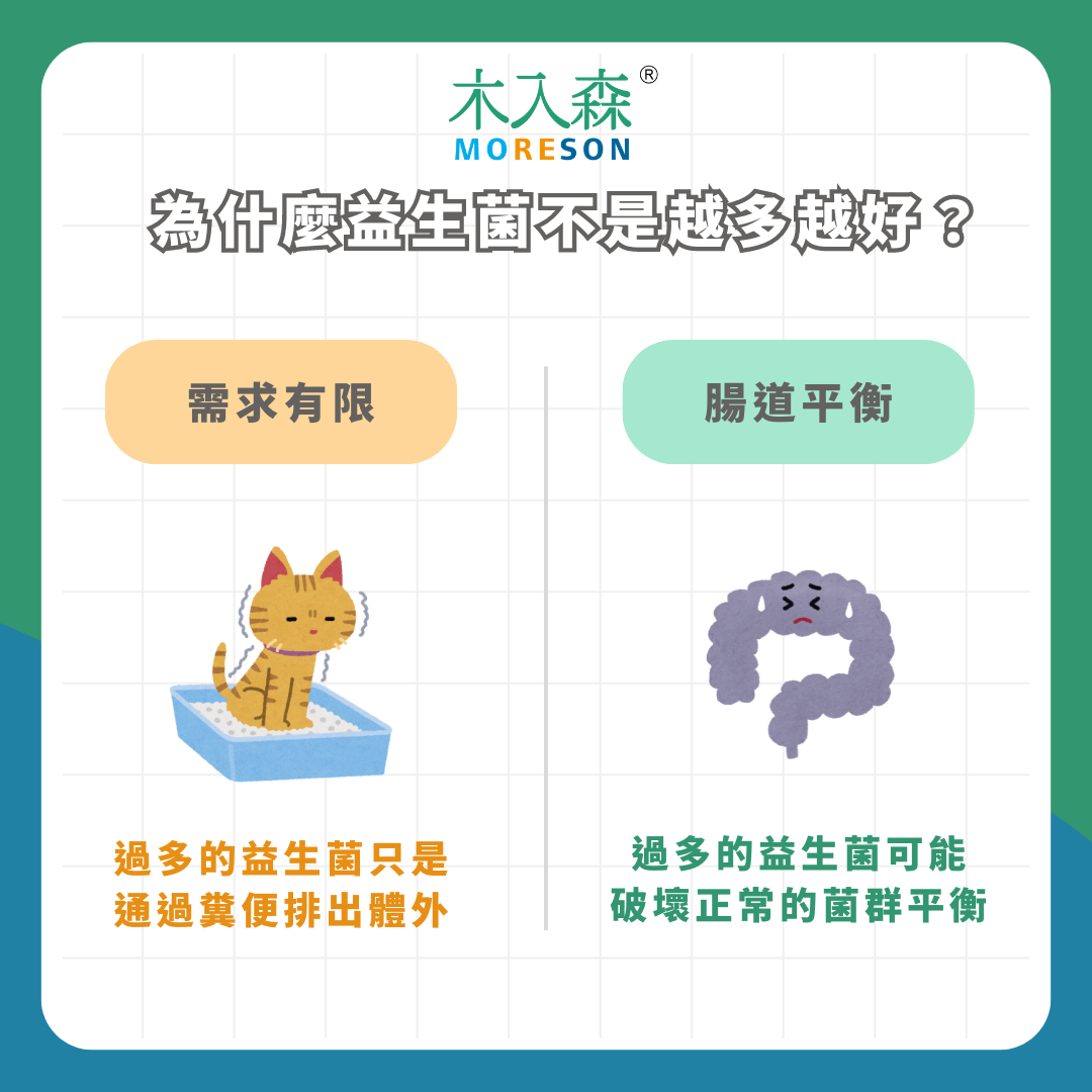 寵物益生菌購買前必讀!推薦給飼主的7大法則 寵物益生菌購買前必讀!推薦給飼主的7大法則