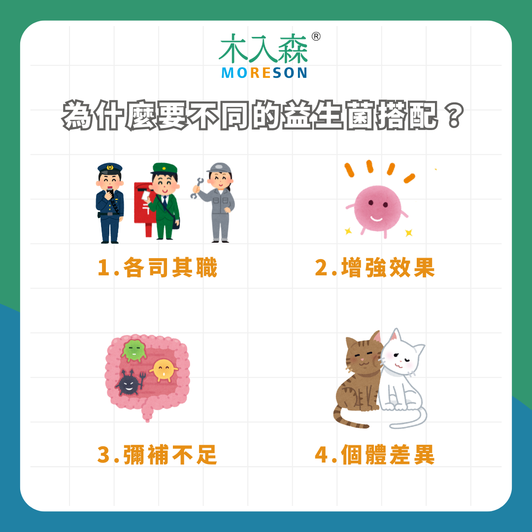 寵物益生菌購買前必讀!推薦給飼主的7大法則 寵物益生菌購買前必讀!推薦給飼主的7大法則