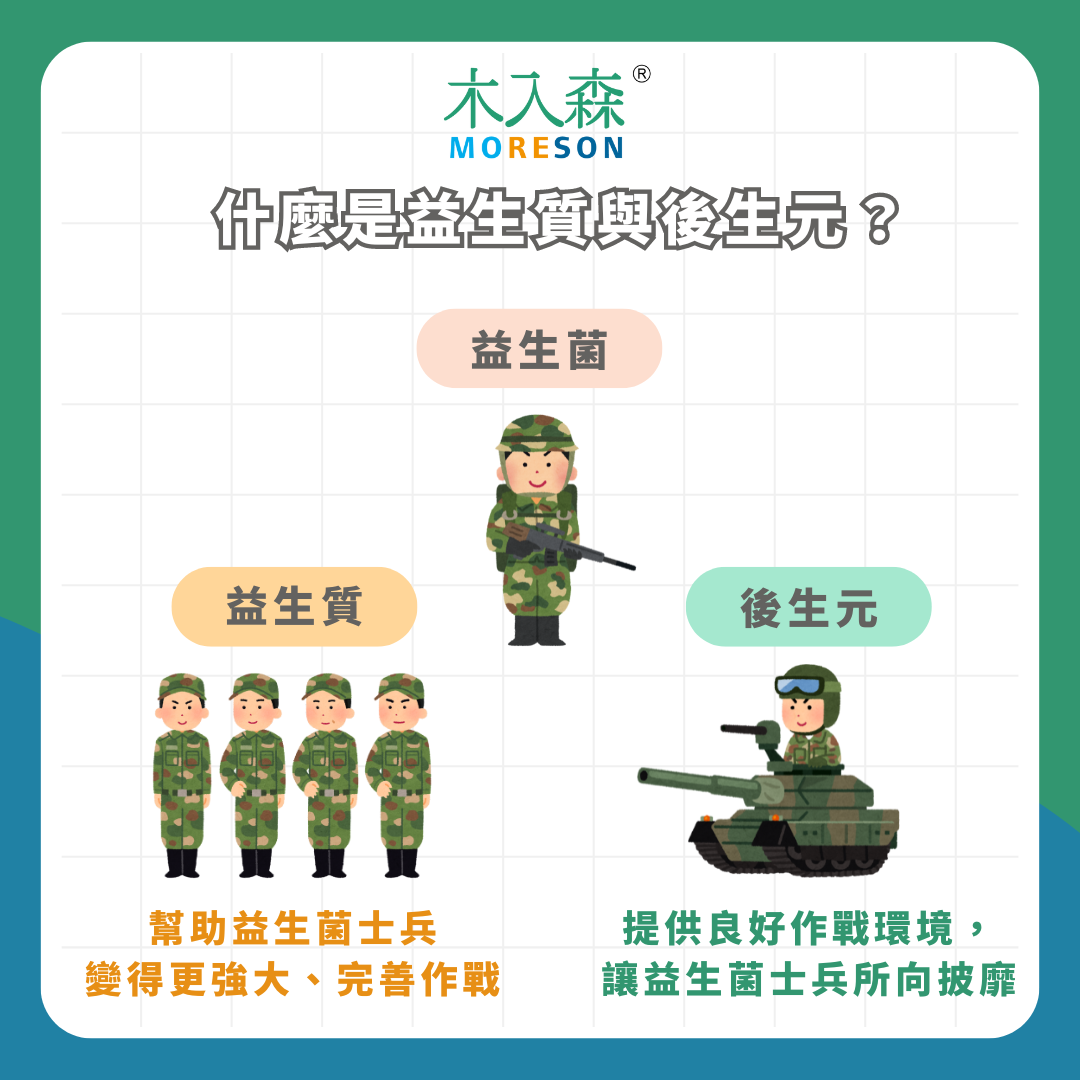 寵物益生菌購買前必讀!推薦給飼主的7大法則 寵物益生菌購買前必讀!推薦給飼主的7大法則