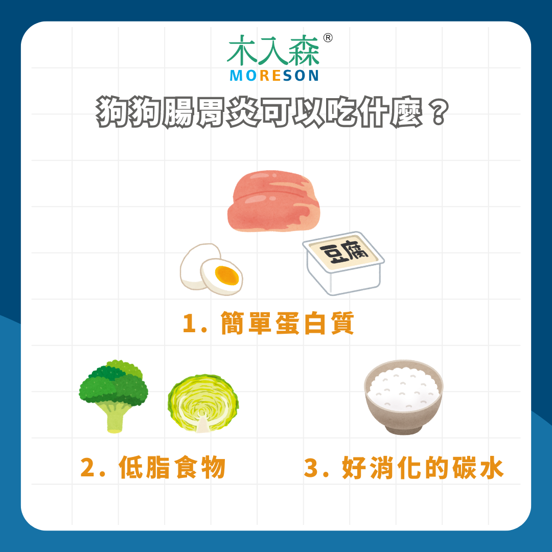 狗狗腸胃炎能吃什麼?可以吃益生菌嗎?狗腸胃炎飲食全攻略! 狗狗腸胃炎能吃什麼?可以吃益生菌嗎?狗腸胃炎飲食全攻略!