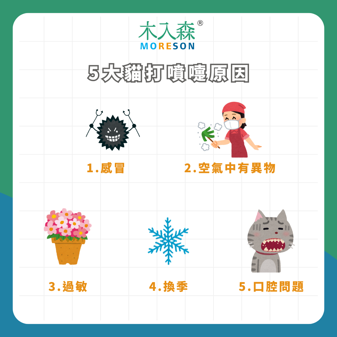 貓咪打噴嚏是正常的嗎!是不是感冒了?教你三種方式,有效緩解貓打噴嚏! 貓咪打噴嚏是正常的嗎!是不是感冒了?教你三種方式,有效緩解貓打噴嚏!