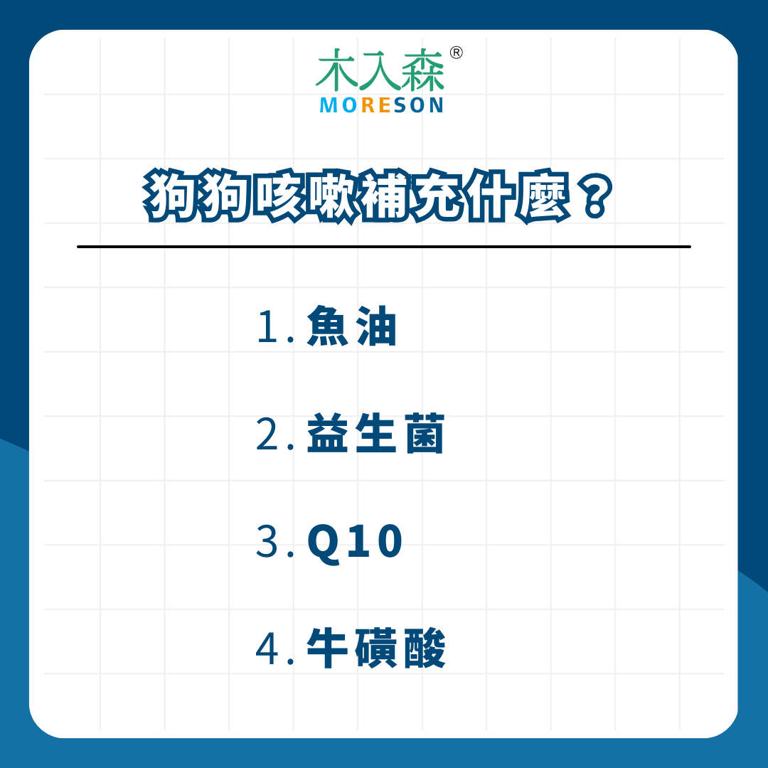 狗狗咳嗽咳不停怎麼辦？七大原因一次看，可能是心臟病前兆！