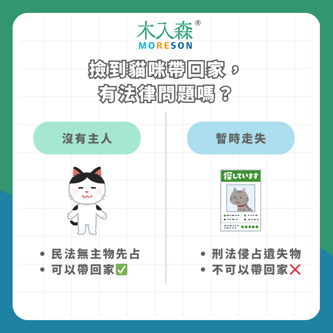 【流浪貓咪協助指南】法規問題、領養流程、動物救援,撿到貓咪處理方法一次看! 【流浪貓咪協助指南】法規問題、領養流程、動物救援,撿到貓咪處理方法一次看!