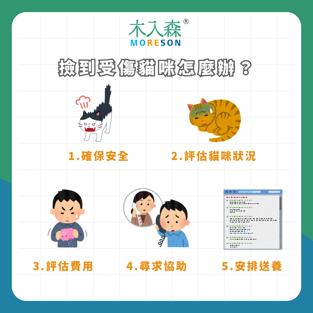 【流浪貓咪協助指南】法規問題、領養流程、動物救援,撿到貓咪處理方法一次看! 【流浪貓咪協助指南】法規問題、領養流程、動物救援,撿到貓咪處理方法一次看!