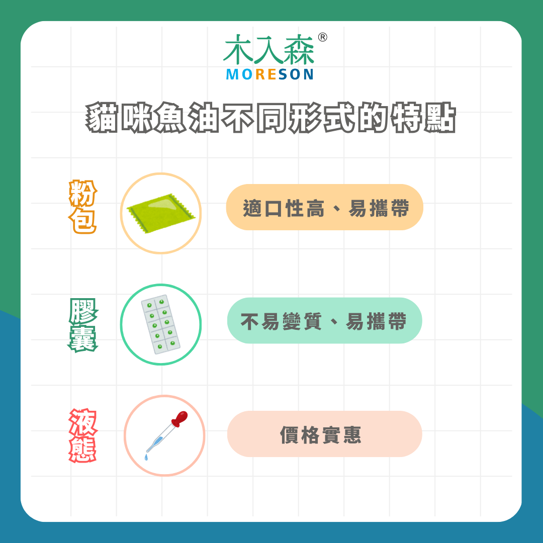 魚油對貓咪有多重要?!貓咪魚油 4 大功效與挑選指南 魚油對貓咪有多重要?!貓咪魚油 4 大功效與挑選指南