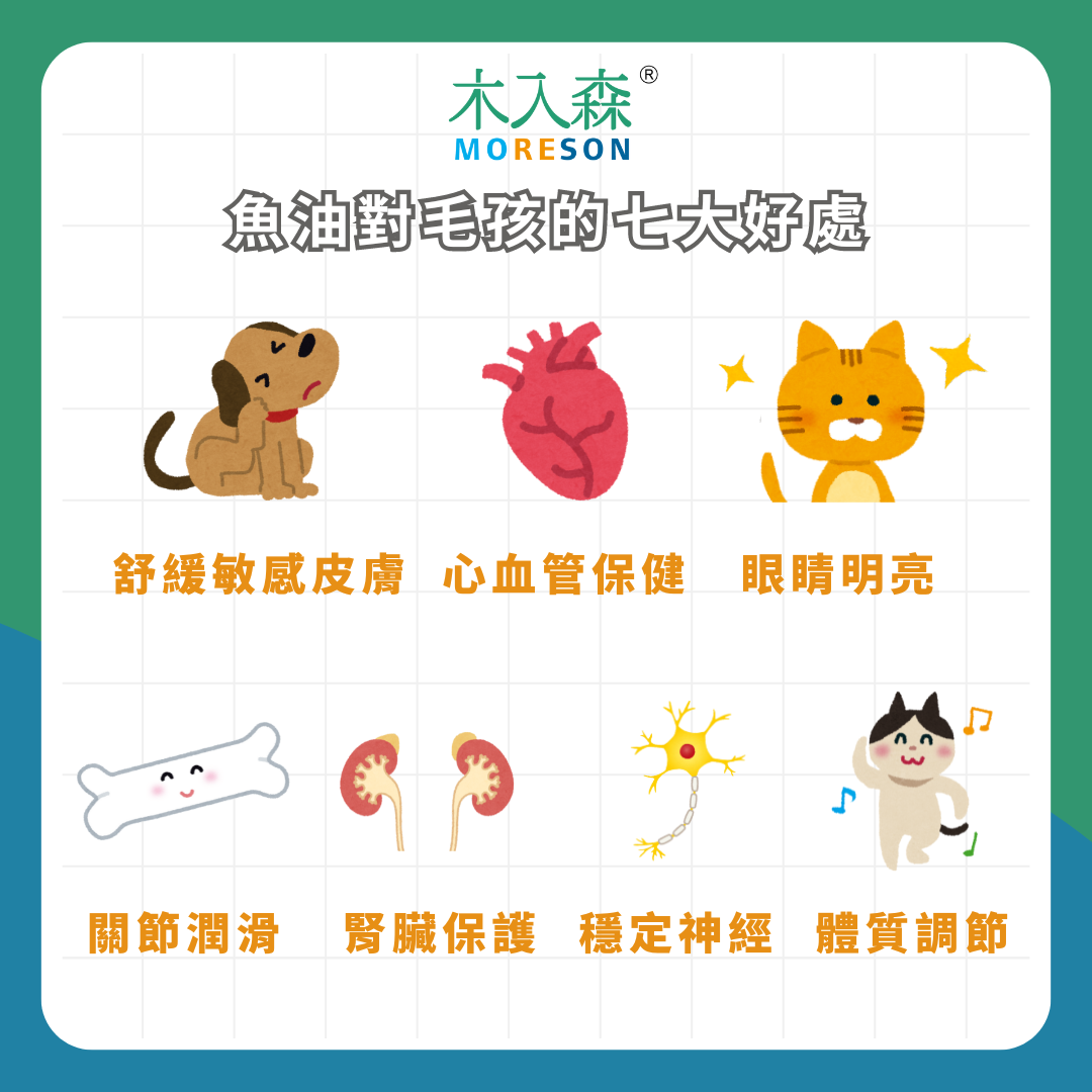 【2024】最新寵物魚油推薦:讓專家告訴你如何正確挑選寵物魚油! 【2024】最新寵物魚油推薦:讓專家告訴你如何正確挑選寵物魚油!