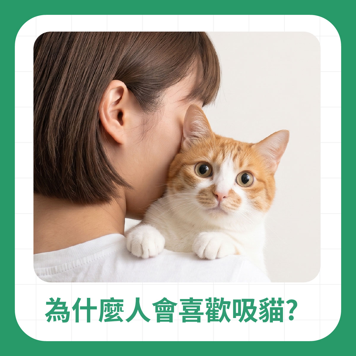 為什麼人會喜歡吸貓 飼主抱著橘白貓親近互動,說明人喜歡吸貓可能與貓咪氣味、柔軟觸感與陪伴感有關