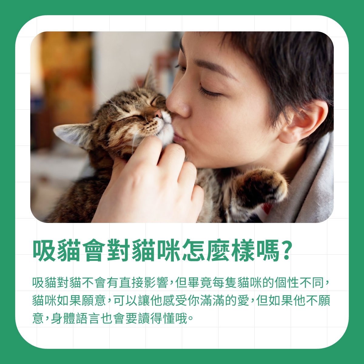 吸貓會對貓咪怎麼樣嗎 飼主親吻貓咪臉頰,說明吸貓對貓咪不一定有直接影響,但需觀察貓咪是否願意被親近