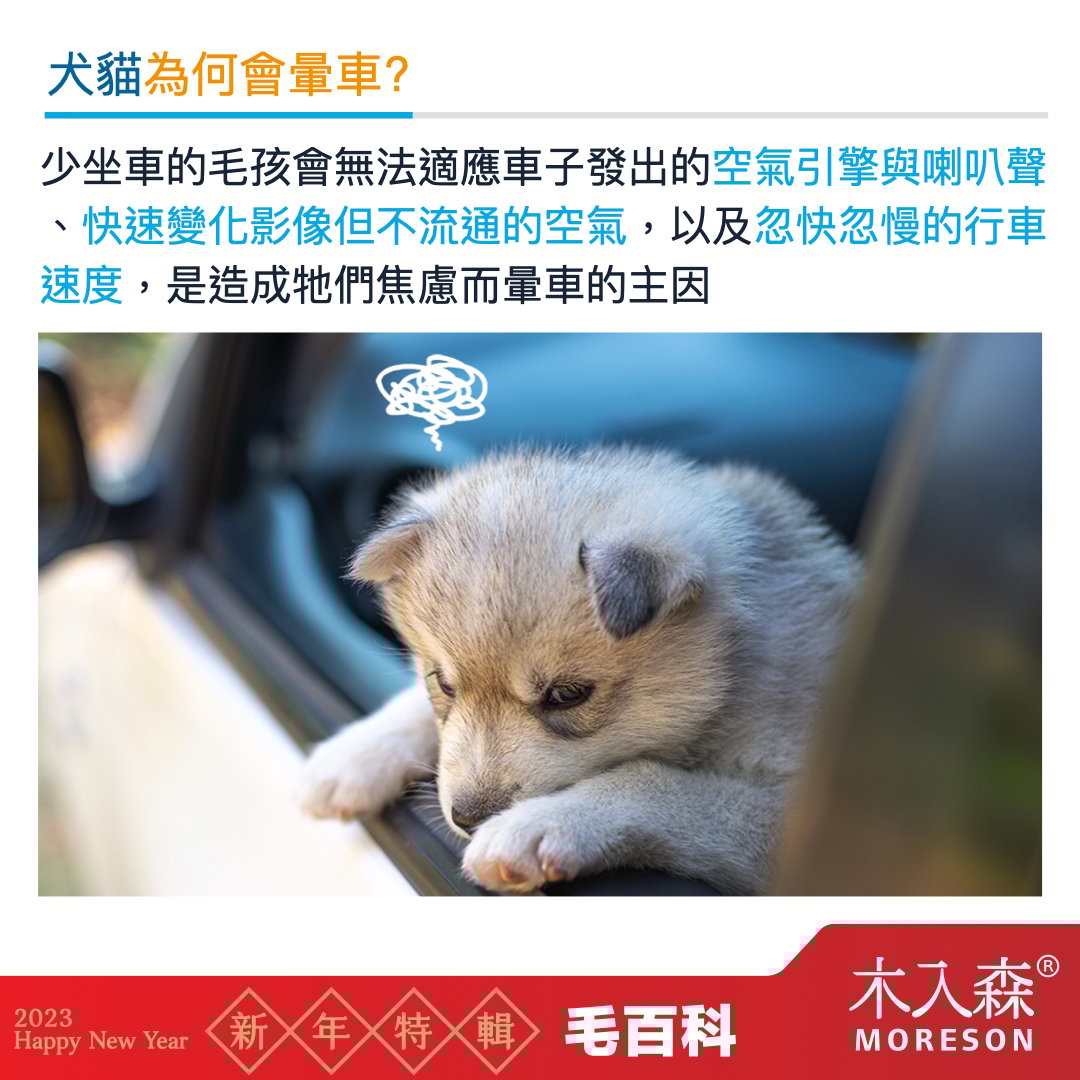 貓咪狗狗也會暈車嗎 貓咪狗狗也會暈車嗎