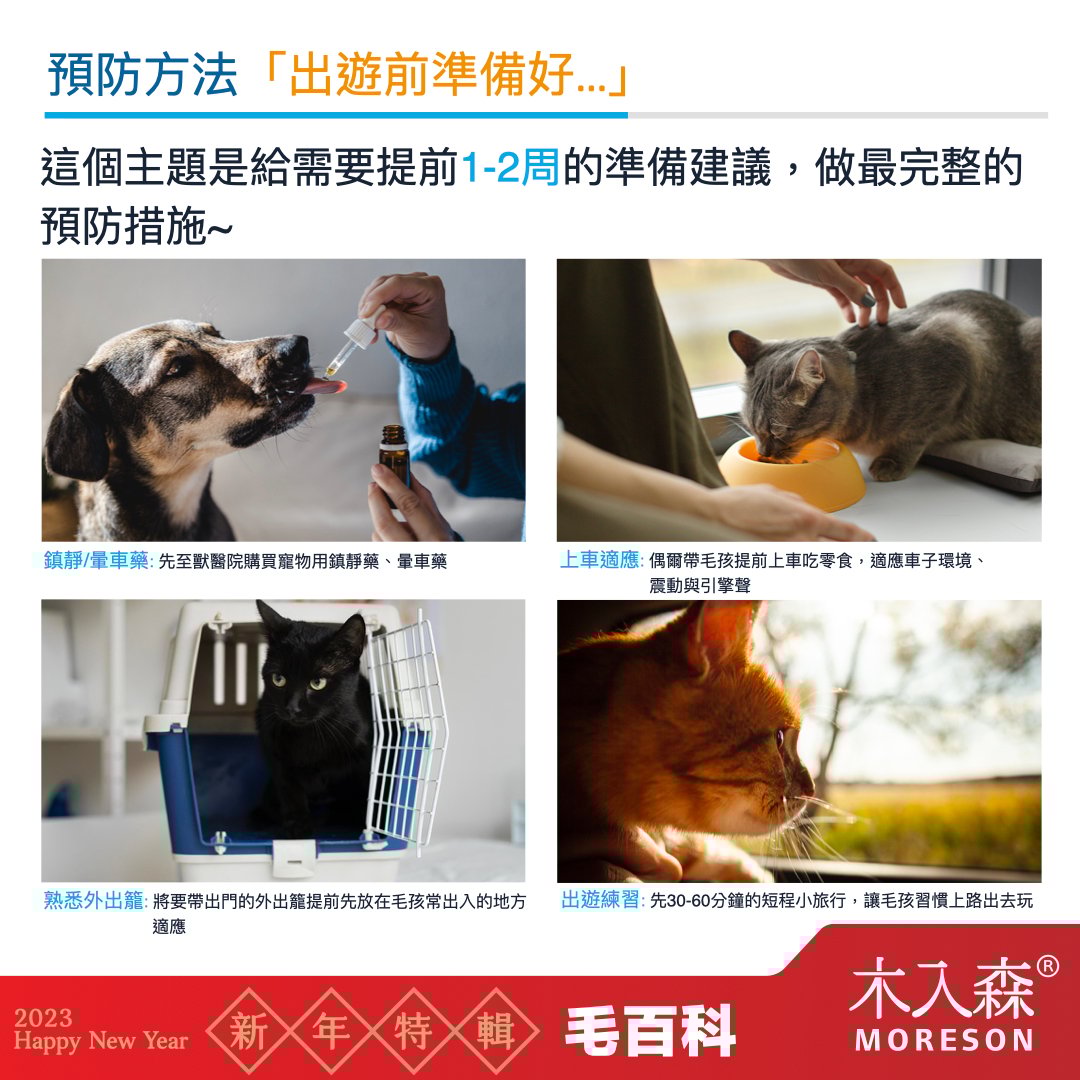 貓咪狗狗也會暈車嗎 貓咪狗狗也會暈車嗎