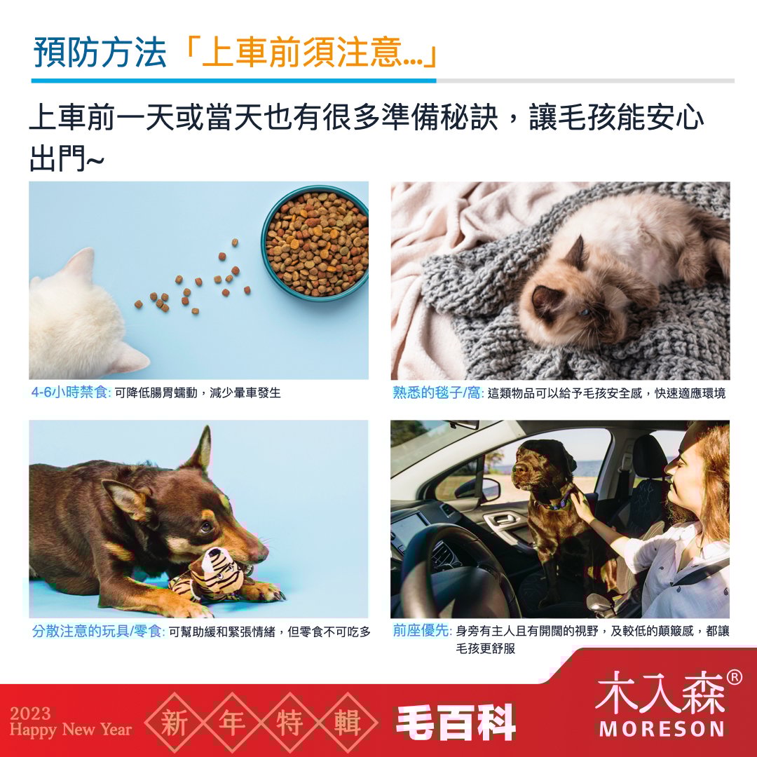 貓咪狗狗也會暈車嗎 貓咪狗狗也會暈車嗎