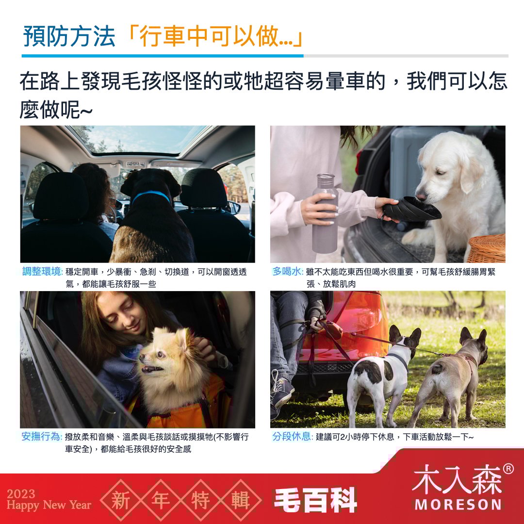 貓咪狗狗也會暈車嗎 貓咪狗狗也會暈車嗎