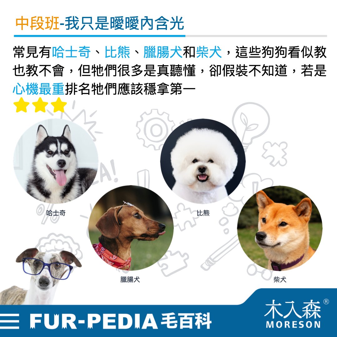 狗狗智商排行榜,3分鐘測驗你家的狗狗算是聰明嗎? 狗狗智商排行榜,3分鐘測驗你家的狗狗算是聰明嗎?