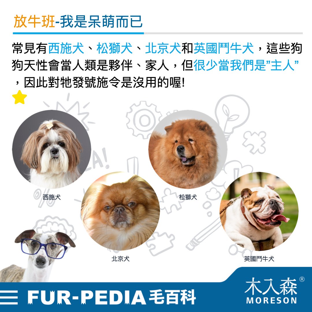 狗狗智商排行榜,3分鐘測驗你家的狗狗算是聰明嗎? 狗狗智商排行榜,3分鐘測驗你家的狗狗算是聰明嗎?