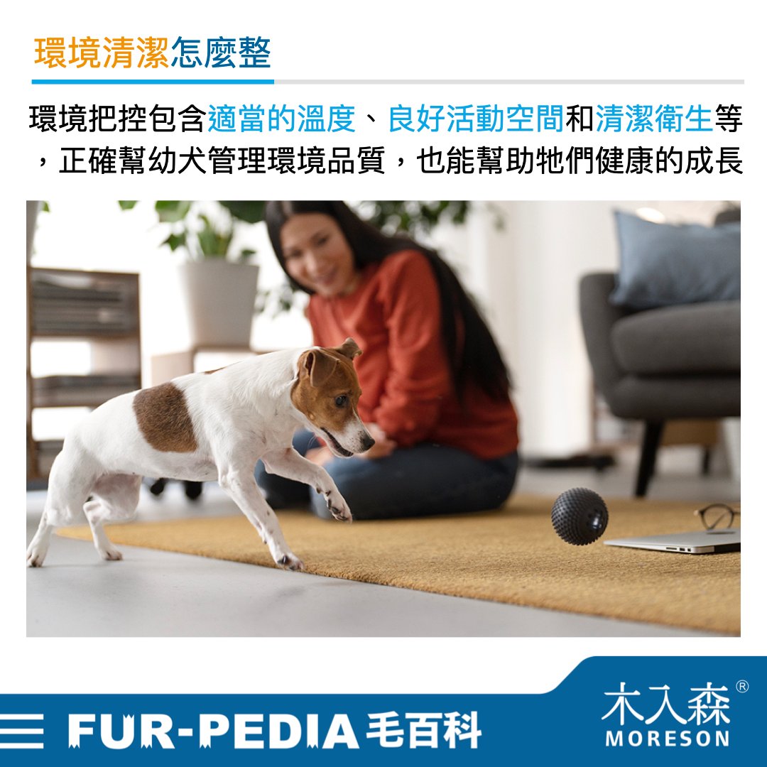 新手大戰幼犬!小狗怎麼養才對?! 新手大戰幼犬!小狗怎麼養才對?!