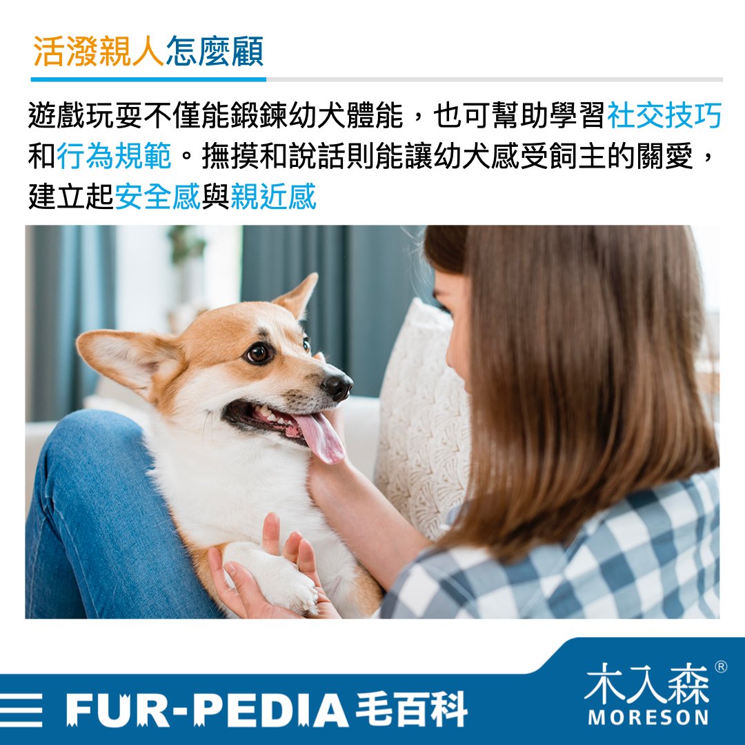 新手大戰幼犬!小狗怎麼養才對?! 新手大戰幼犬!小狗怎麼養才對?!