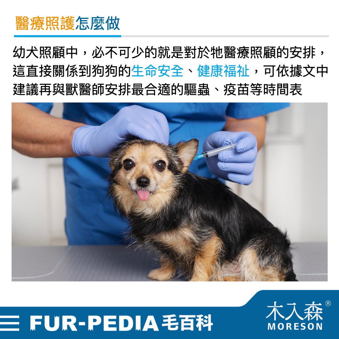 新手大戰幼犬!小狗怎麼養才對?! 新手大戰幼犬!小狗怎麼養才對?!