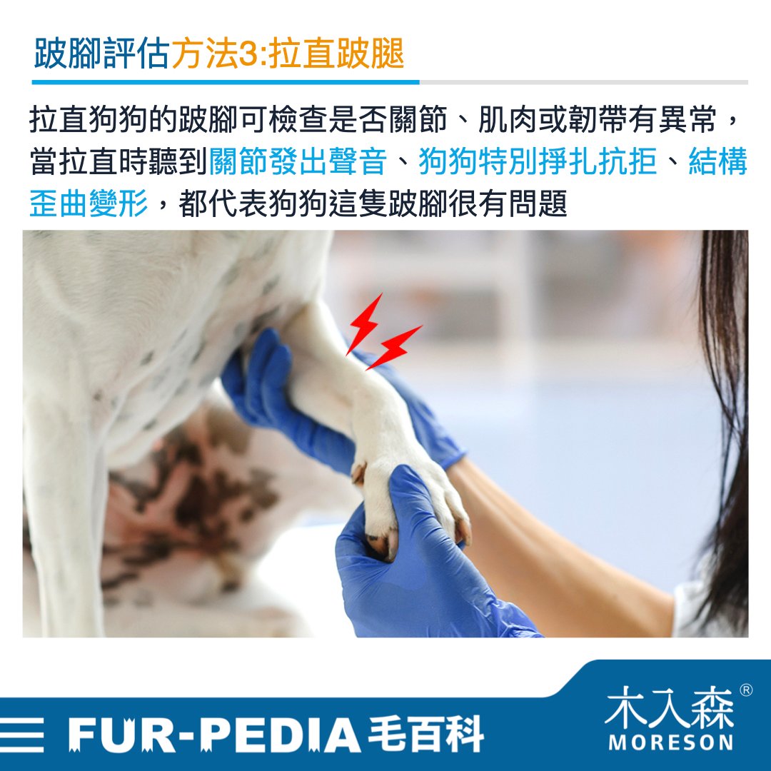 狗狗跛腳會自己好嗎？時好時壞怎麼辦？