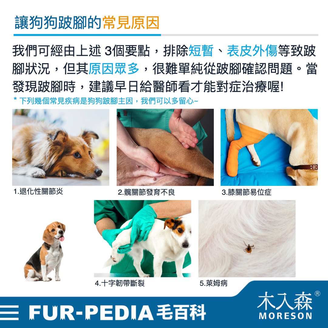 狗狗跛腳會自己好嗎？時好時壞怎麼辦？