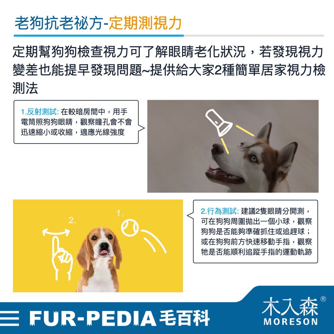 發現貓咪尿不出來?用這「5」個步驟判斷原因、症狀、預防復發方法。 發現貓咪尿不出來?用這「5」個步驟判斷原因、症狀、預防復發方法。