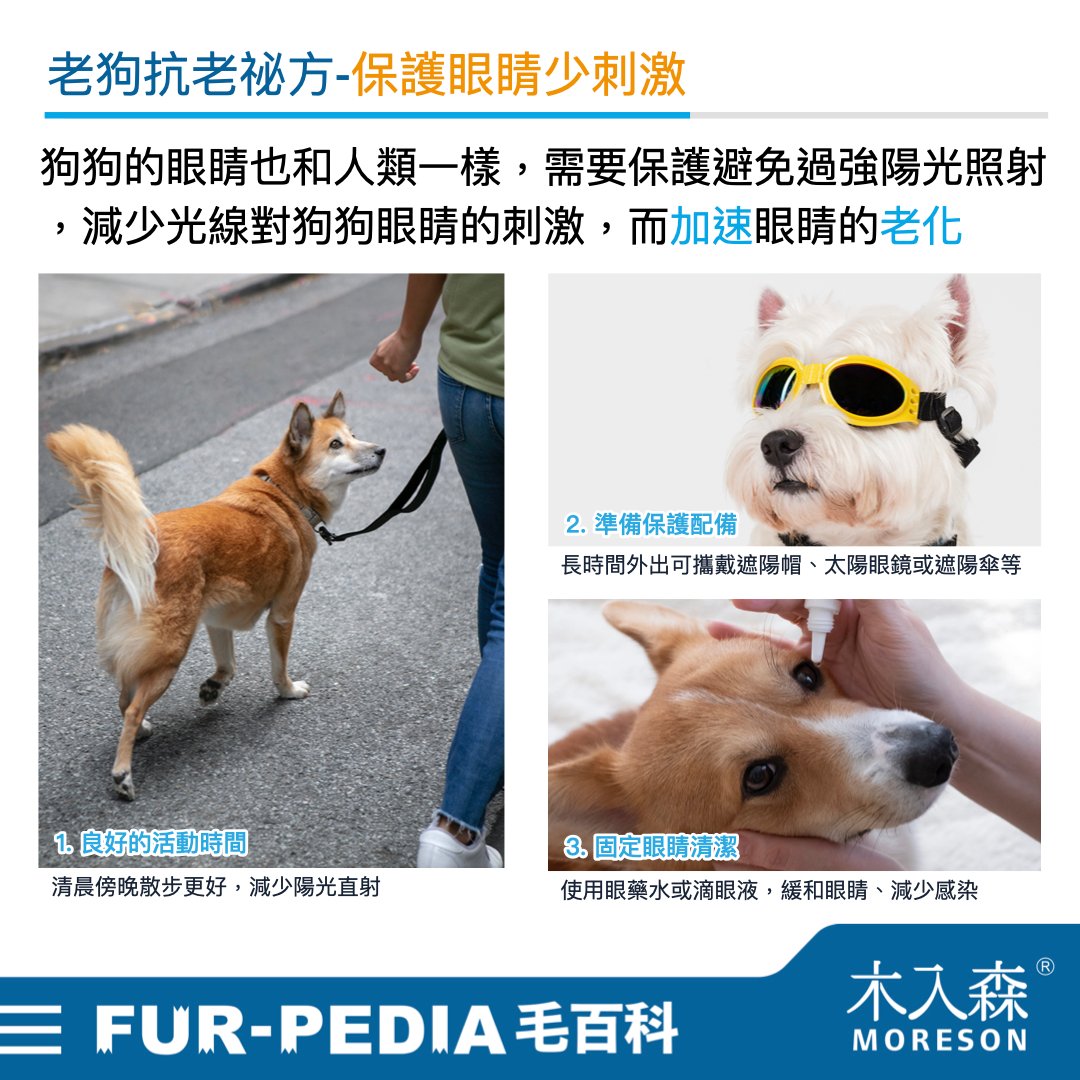 發現貓咪尿不出來?用這<strong>「5」</strong>個步驟判斷原因、症狀、預防復發方法。 發現貓咪尿不出來?用這<strong>「5」</strong>個步驟判斷原因、症狀、預防復發方法。