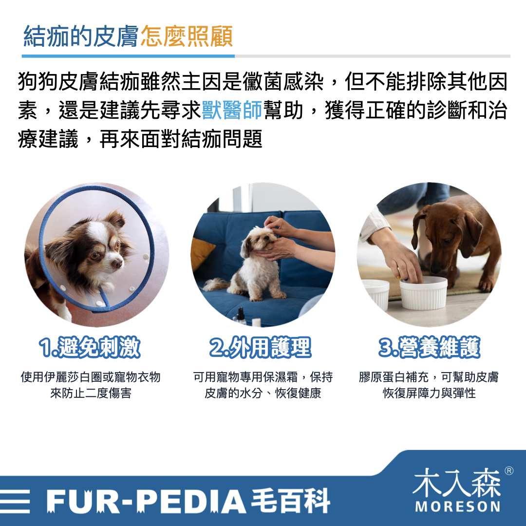 別小看狗狗皮膚黑色結痂,這其實是皮膚病! 別小看狗狗皮膚黑色結痂,這其實是皮膚病!