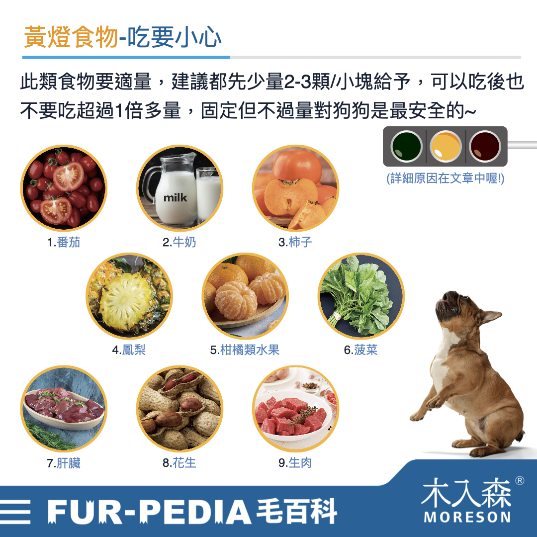 狗狗能吃什麼?不能吃什麼?常見的37種食物大公開! 狗狗能吃什麼?不能吃什麼?常見的37種食物大公開!