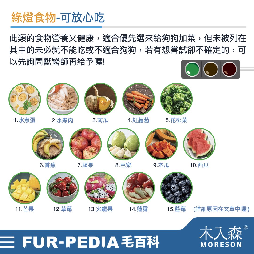 狗狗能吃什麼？不能吃什麼？常見的37種食物大公開！