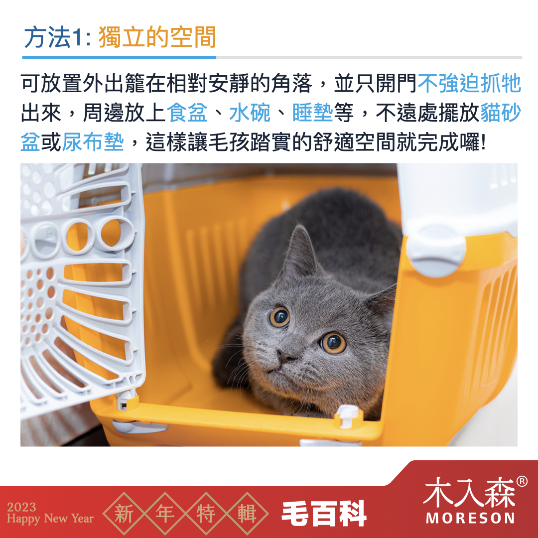 犬貓適應新環境,容易面臨的問題
犬貓適應新環境,容易面臨的問題
