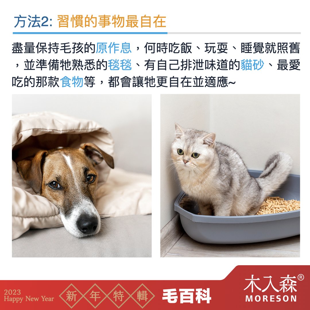 犬貓適應新環境,容易面臨的問題 犬貓適應新環境,容易面臨的問題
