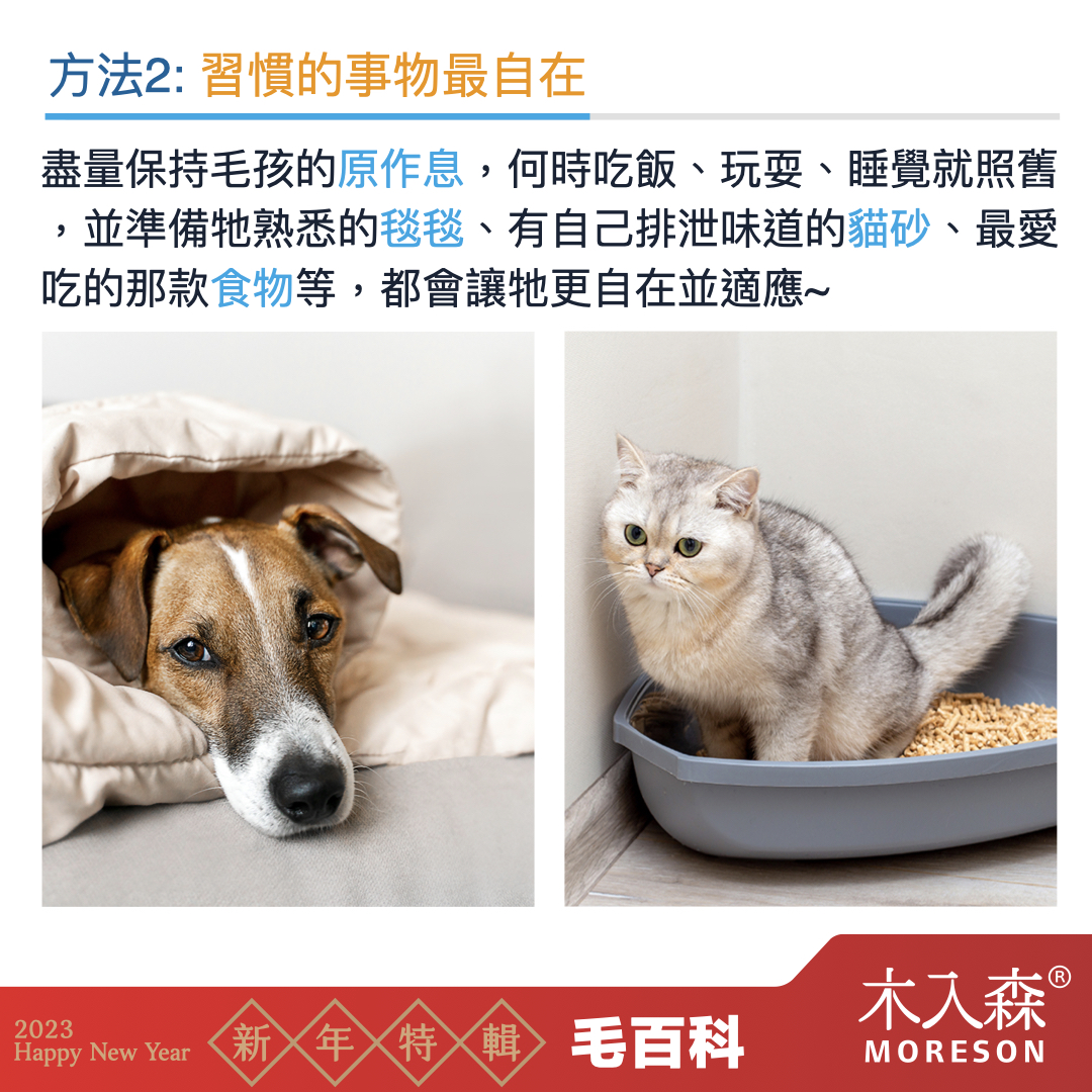 犬貓適應新環境,容易面臨的問題
犬貓適應新環境,容易面臨的問題