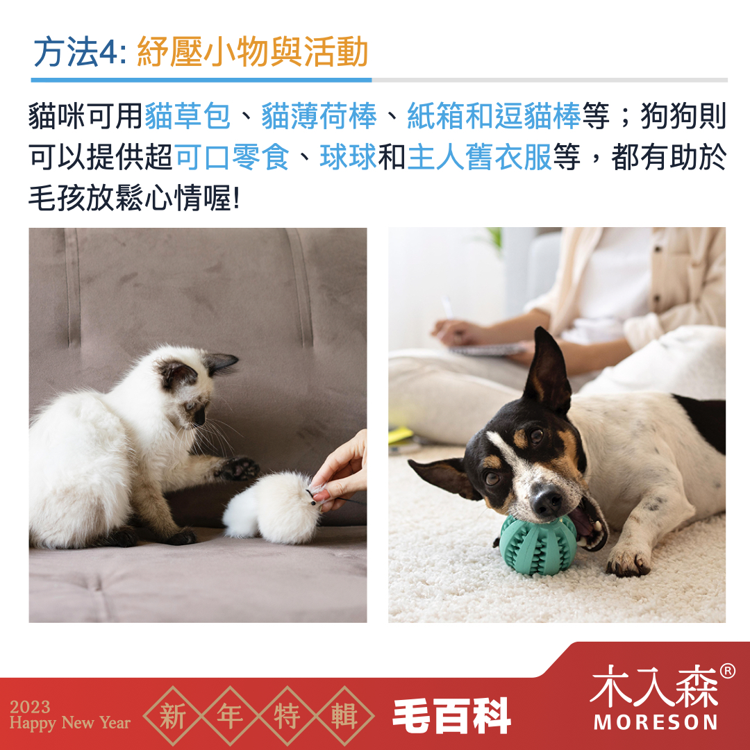 犬貓適應新環境,容易面臨的問題
犬貓適應新環境,容易面臨的問題
