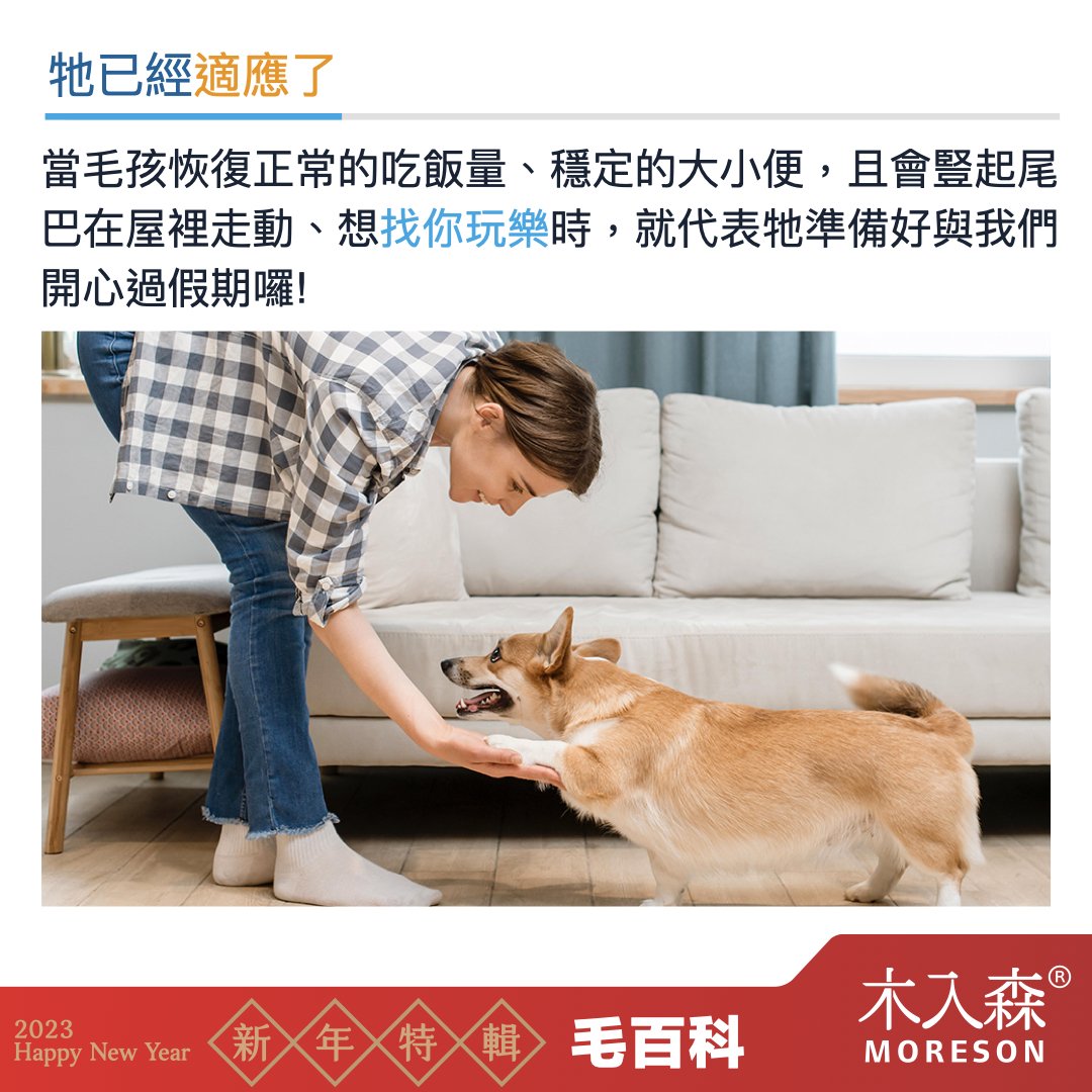 犬貓適應新環境,容易面臨的問題 犬貓適應新環境,容易面臨的問題