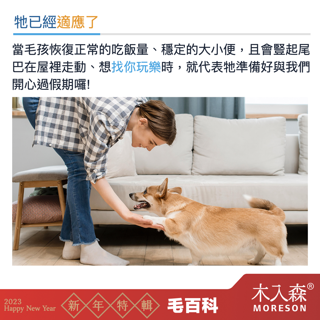 犬貓適應新環境,容易面臨的問題
犬貓適應新環境,容易面臨的問題