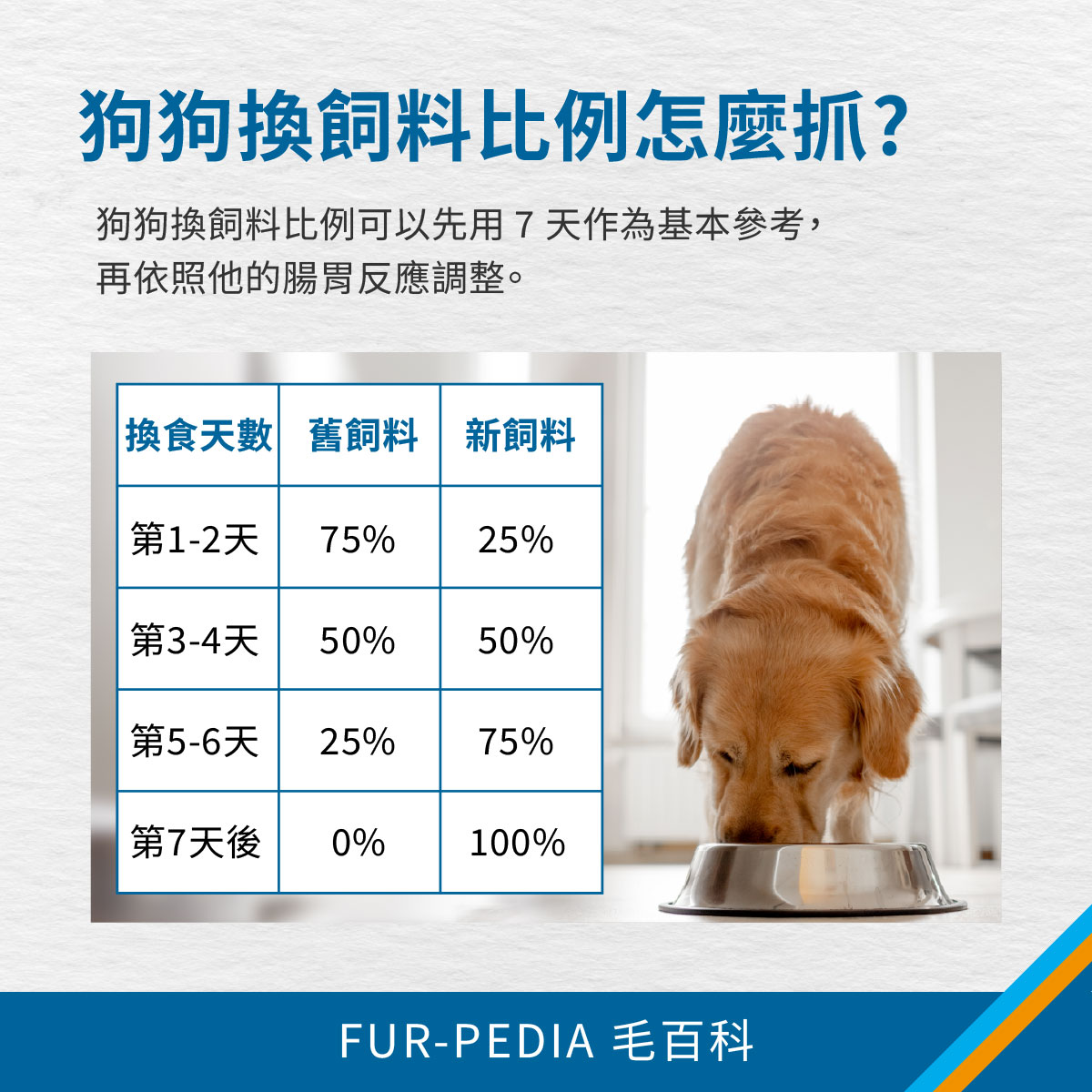 狗狗吃飼料搭配 7 天換食比例表，說明狗狗換飼料可依舊飼料與新飼料比例逐步調整